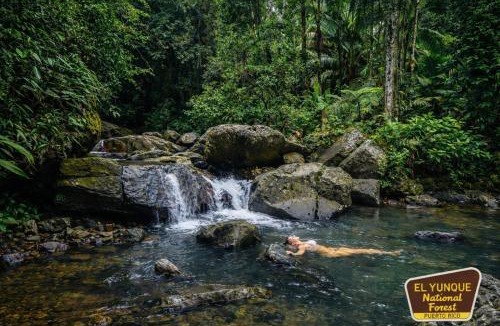 Ceiba Apartment | Short Drive to Ferry, Boho Eco Stay, Parking