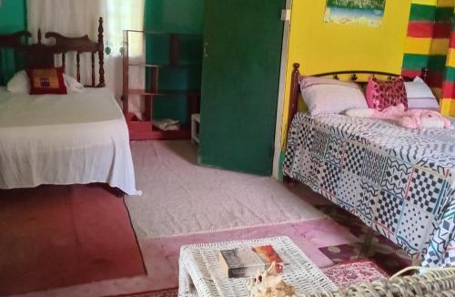 Port Antonio Apartment | Eco Resort Nature In Portland