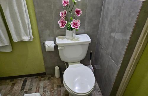 New Kingston Apartment | Glenhope Cottages in the City