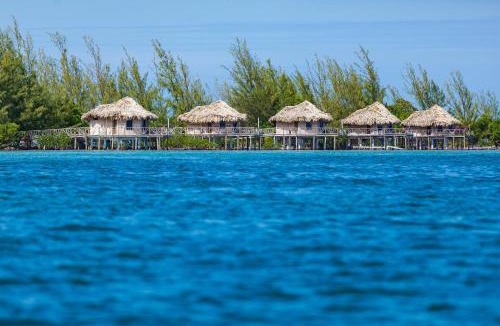 Thatch Caye Resort | Thatch Caye Resort a Muy'Ono Resort