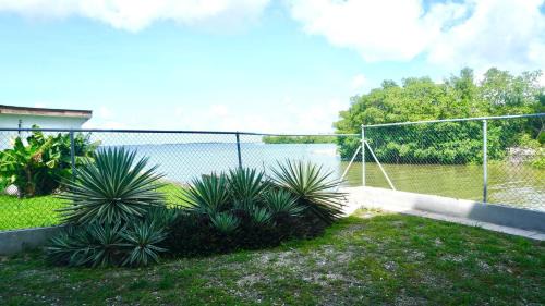 Belize City Apartment | See Belize RELAXING Studio with Sea View Infinity Pool & Overwater Deck