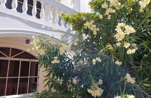 Costambar Apartment | Costambar Ocean Breeze - Beachfront Apartment with Pool