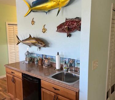 South Bimini House | Scena's Place