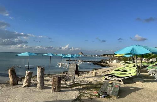 Boca Ciega House | Bella Mar- Oceanfront Villa by Stay Floreo