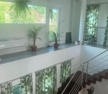Whitehouse House | Whispering Clouds Beach House