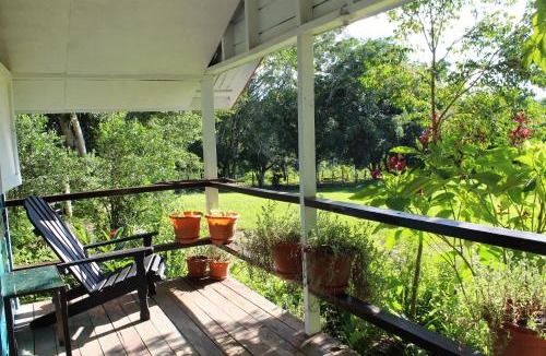 Negroman House | Nabitunich