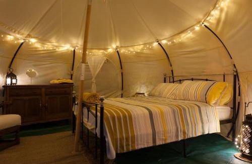 Fryes Beach Other | Wild Lotus Glamping