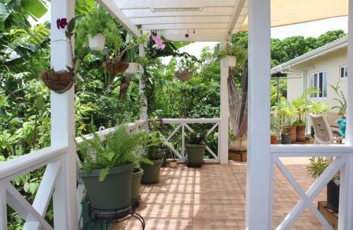 All Saints Apartment | Tropical Garden Cottage Antigua