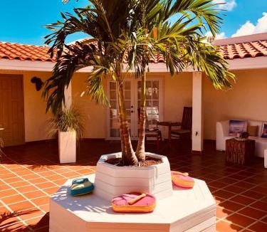 Opal Hotel | Karibu Aruba Boutique Hotel