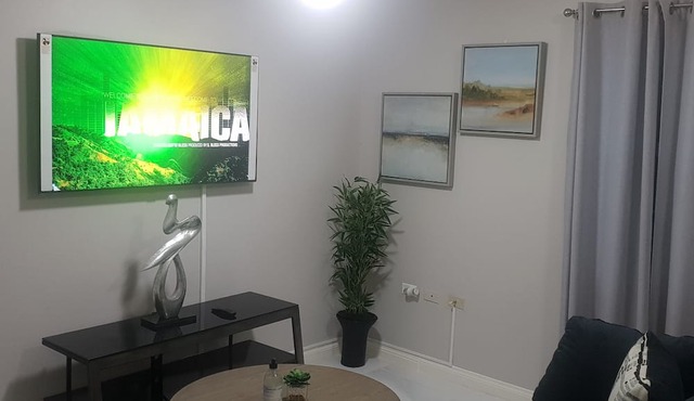 5 Star Fresh And Clean Condo In New Kingston