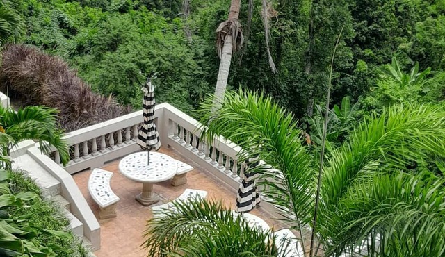 Villa Gringo Farms