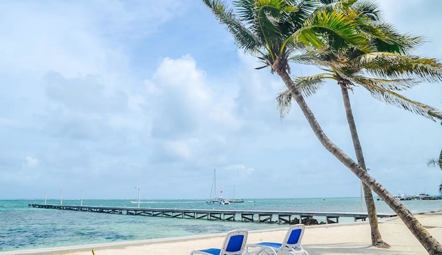 Blue Tang Inn
