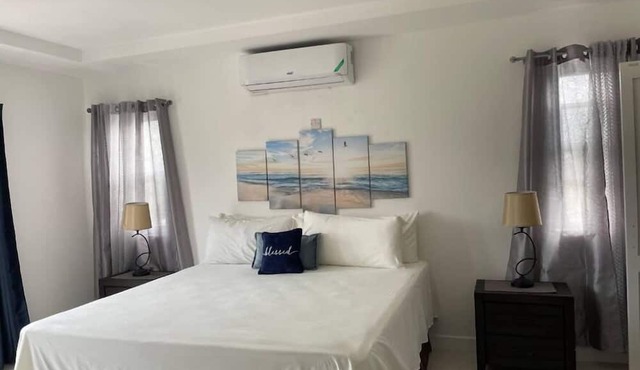 Modern Luxury 1BR Condo in Kingston
