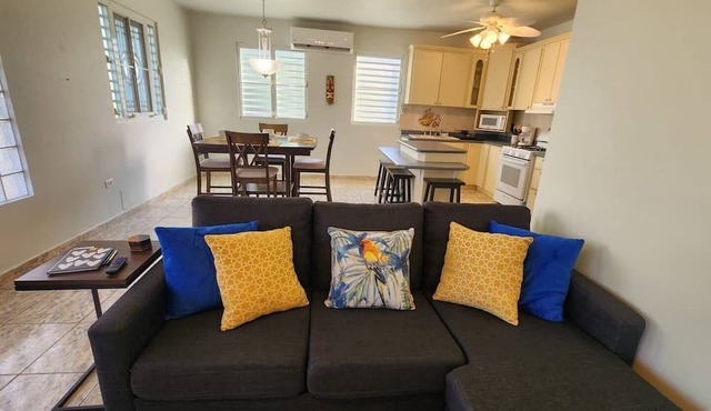 Entire House, Camuy PR