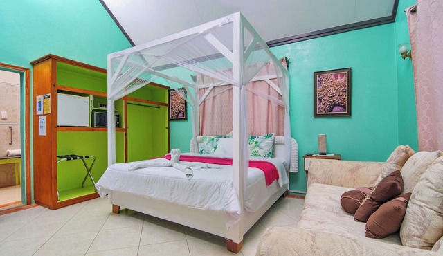 Tropical Paradise View