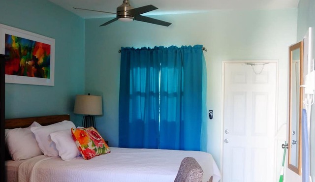 Sea Grape Studios