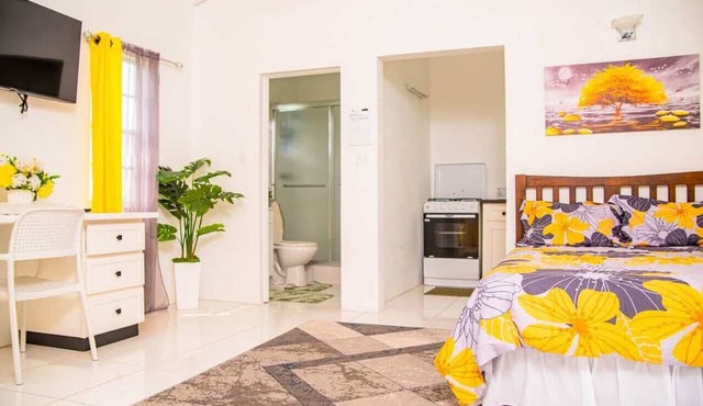 Docs Paradise Yellow Apartment