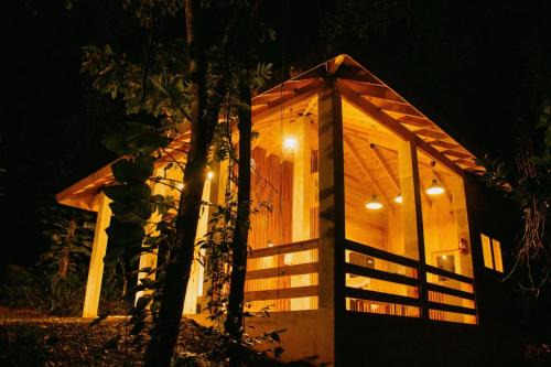 The Wild Farm El Yunque Zone Puerto Rico