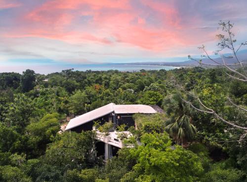 TreeTops - New Designer Villa on top of Negril!
