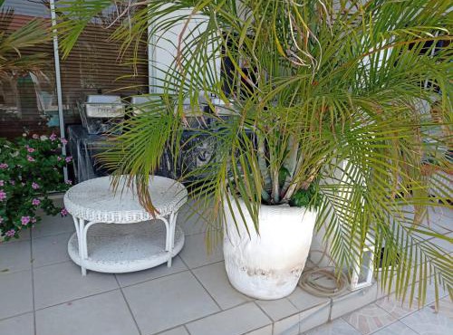 Chez Lilly
