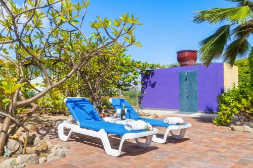 Wilderness Retreat-arubas Biggest Nature Hideaway