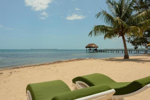 Jammin Gecko - 3 Story Oceanfront Luxury Villa 5 Bedroom w Pool